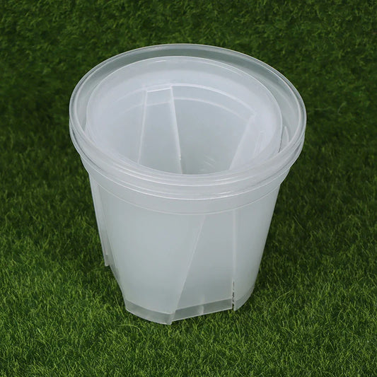 Clear Flower Pot with Tray