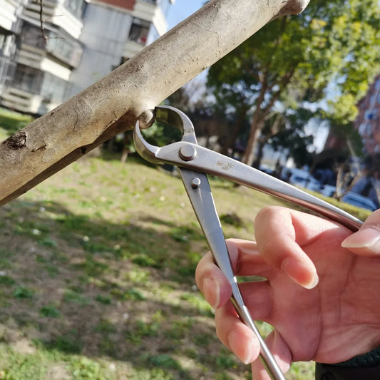 Bonsai Pruning Tool Set