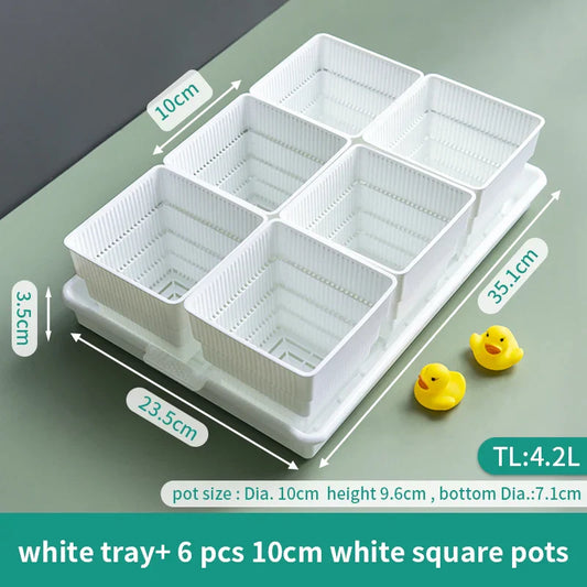 Meshpot Square Succulent Planters with Tray