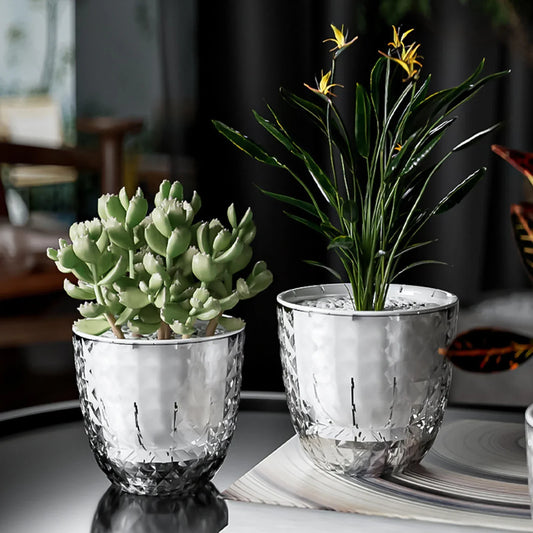 Hydroponic Self-Watering Plant Vase
