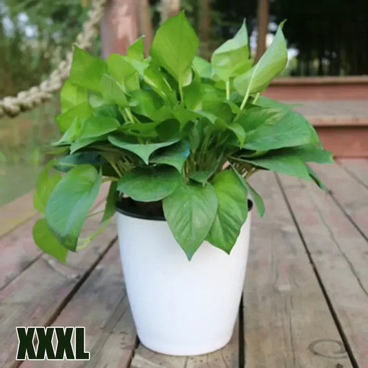Lazy Flower Pot